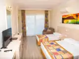 Standard Double room with balcony and with land view