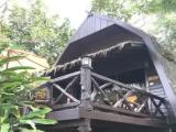 Standard Double room with garden view