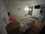 Standard Double room with garden view