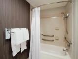 1 Bedroom Executive Suite with balcony