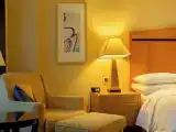 1 Bedroom Junior Suite