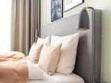 Apartment Suite