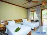 Deluxe Double room with garden view