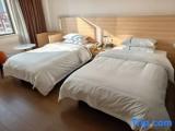 Standard Twin room with river view