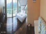 Standard Double room with mountain view