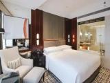 Executive Double Suite