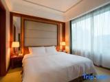 Business Suite