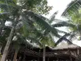 2 Bedrooms Superior Bungalow