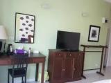 Standard Double room with garden view