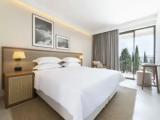 Standard Double room with balcony and with pool view