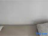 Bed in Dorm