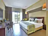 Deluxe Double room with garden view