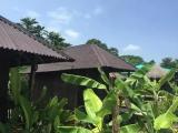 Standard Single Bungalow