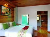Standard Double room with garden view