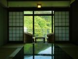 Standard room with river view