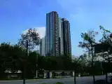 Run of House