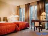 Deluxe Twin room with park view