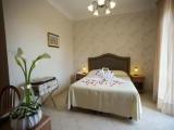 Standard Double room with garden view
