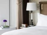 Double Club Suite with park view