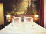 Comfort Double room with mountain view