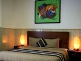 1 Bedroom Deluxe room with balcony