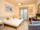 Standard Double room with balcony and with garden view