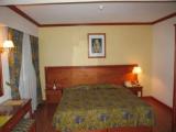Superior room with river view