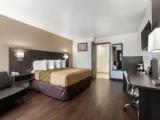 Bed in Dorm