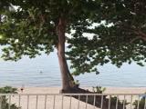 Deluxe room beachfront
