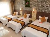 Deluxe room with city view