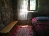Standard Double room with garden view