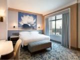 Double Club Suite