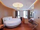 Premium Suite