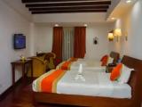 Deluxe Triple room with garden view