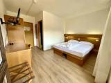 Premium Double room with balcony and with mountain view