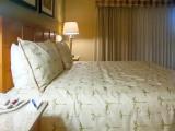 2 Bedrooms Villa