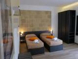Superior Double room with garden view
