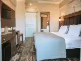 Superior Double room with pool view