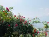 Premium Deluxe Double room with Valley View