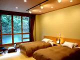 Standard Double room with river view