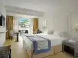 Superior Double room with pool view