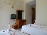 Standard Double room with balcony and with mountain view