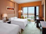 Premier Twin room with city view