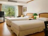 Standard room with balcony and with mountain view