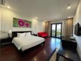 Deluxe Double room with balcony and with river view