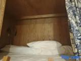 Bed in Dorm