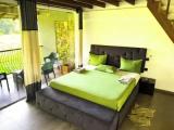Deluxe Apartment with balcony and with pool view