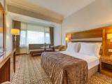 Standard Double room with lake view