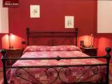 Standard Double room with garden view