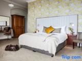 Premier room